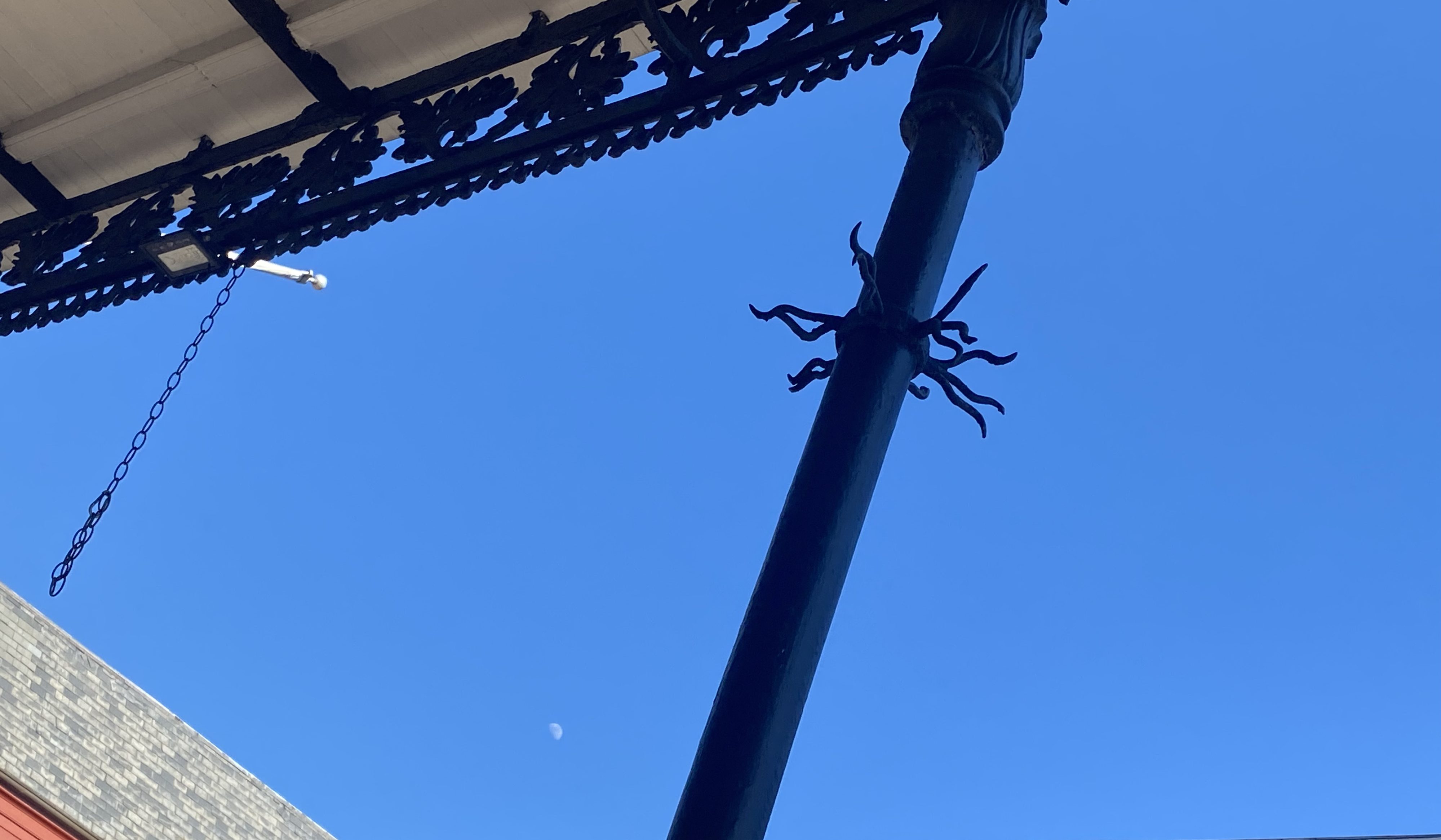 Romeo Spikes on Chartres St